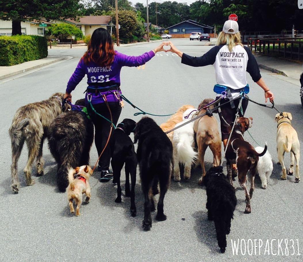 WOOFPACK Dog walker in Santa Cruz CA